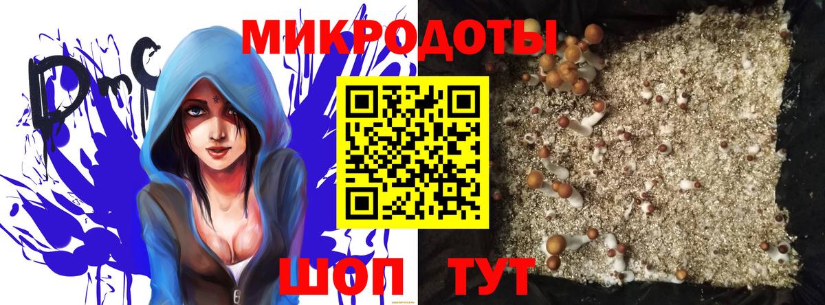 Псилоцибиновые грибы ЛСД Ишим